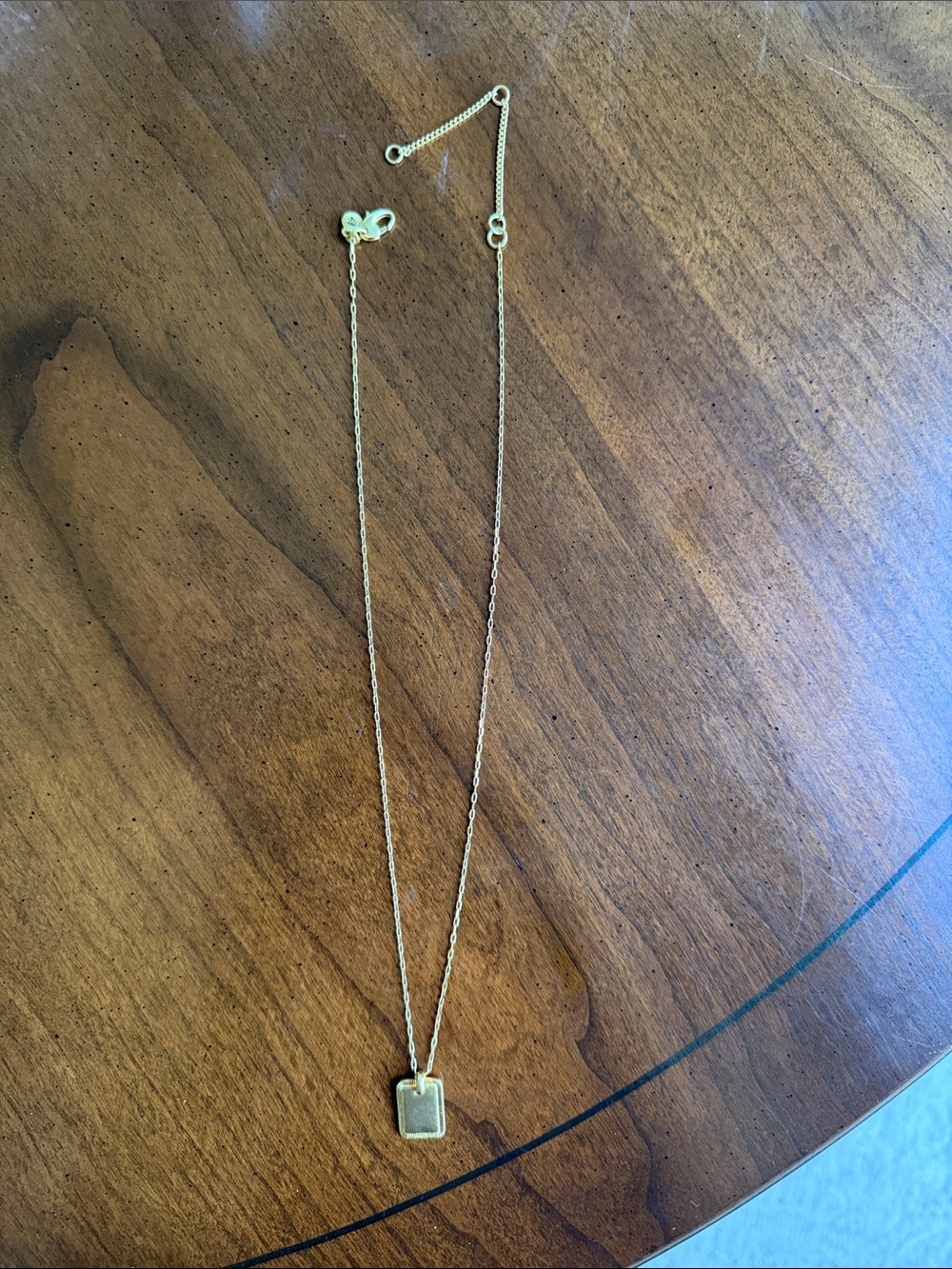 Madewell Gold Rectangular Pendant Necklace 18-22”